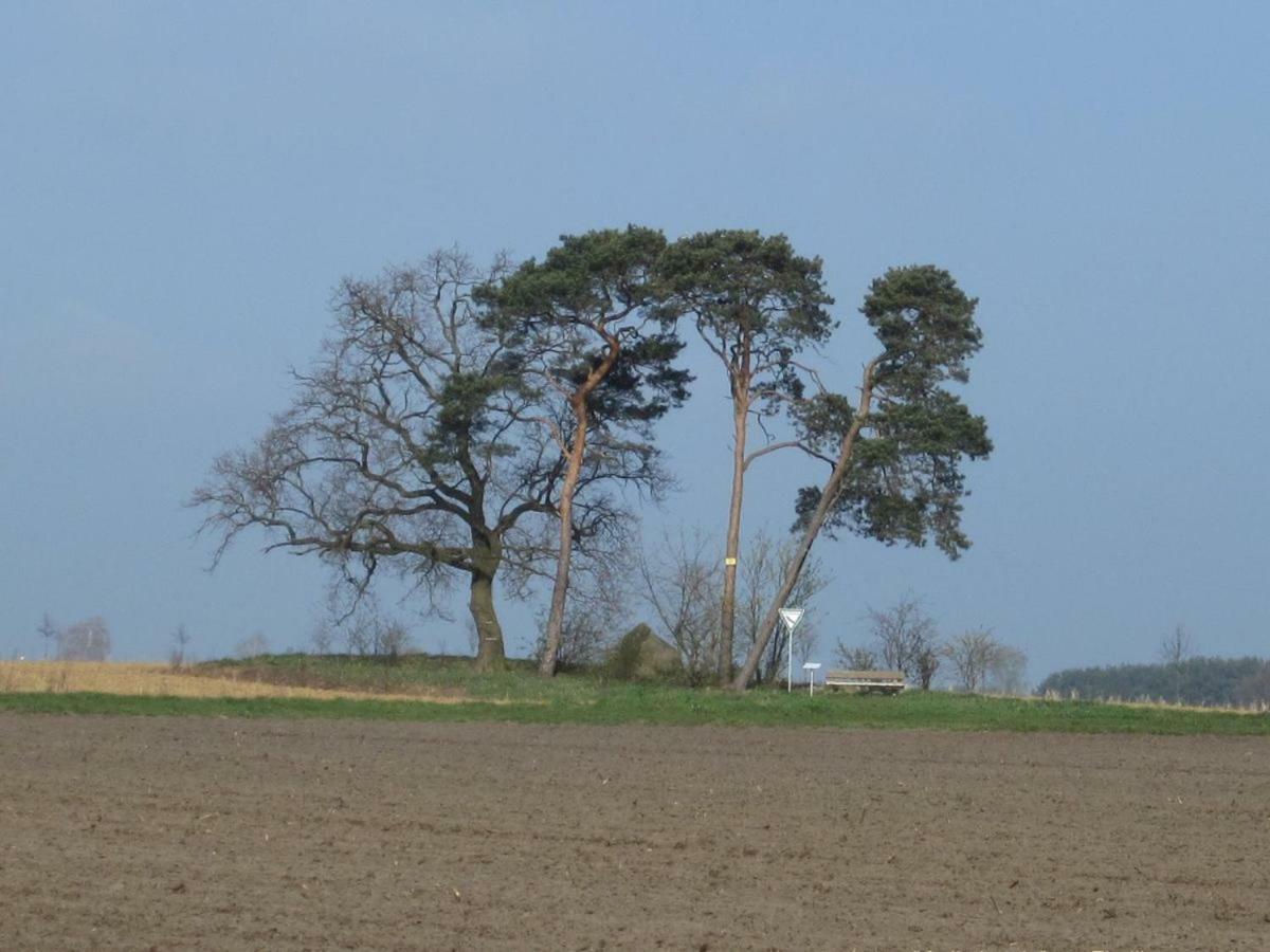 Ferienhaus Struckmann Am Steinhuder Meer Neustadt am Rübenberge Buitenkant foto